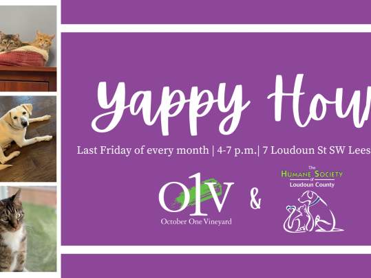 Yappy Hour