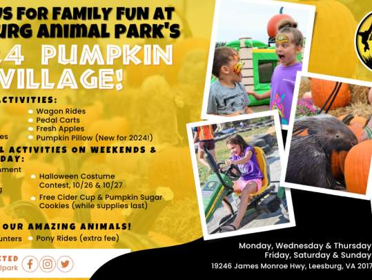 Leesburg Animal Park's Pumpkin Village