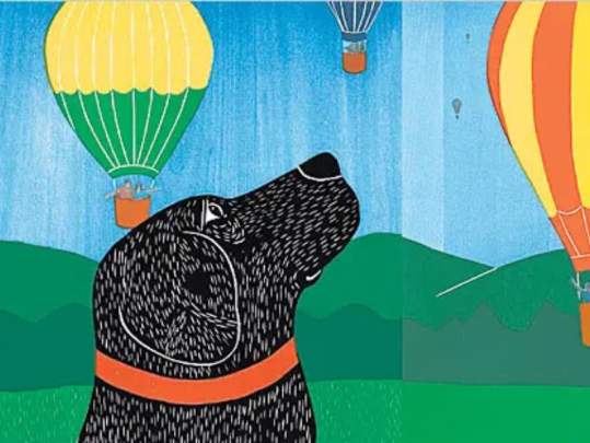 Story Time: Sally's Great Balloon Adventure
