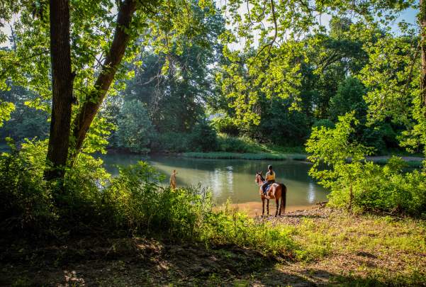 Horseback Riding in Springfield, Missouri