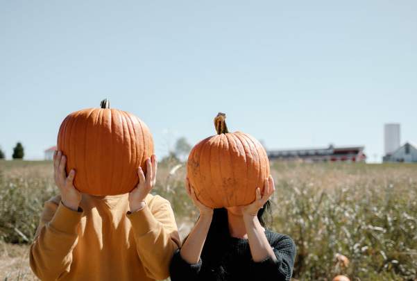 Pumpkins at Rutledge-Wilson Farm Park