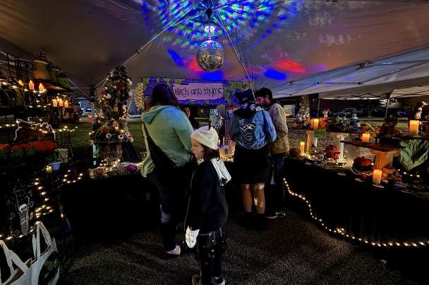 Not Your Mother's Art Fest