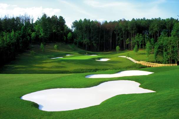 Gwinnett's Golf Courses