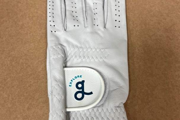 golf glove