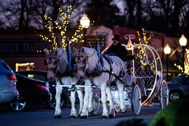Downtown Norcross Carriage Rides