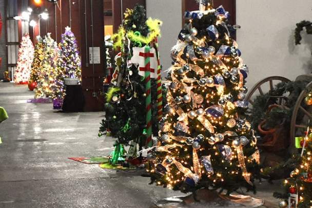 Southeastern Railway Museum: Festival of Trees