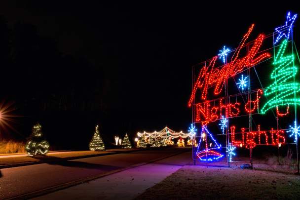 The Magical Nights of Lights