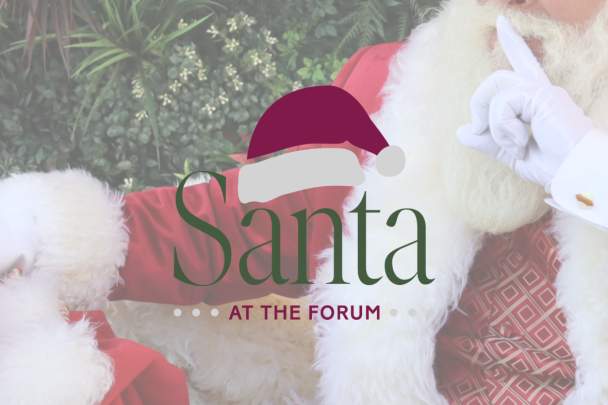 Santa at The Forum! 🎄