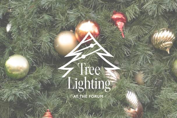 Tree Lighting at The Forum