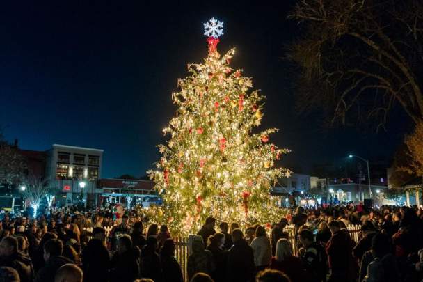 Lilburn City Park Tree Lighting