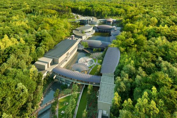 Explora el arte en Bentonville: museos, murales y más
