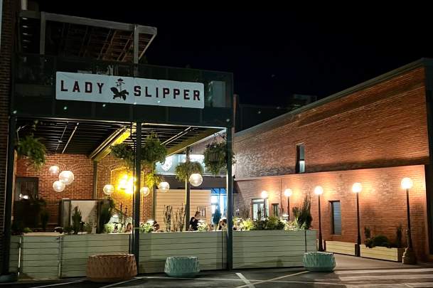 Artful Bites with Lady Slipper