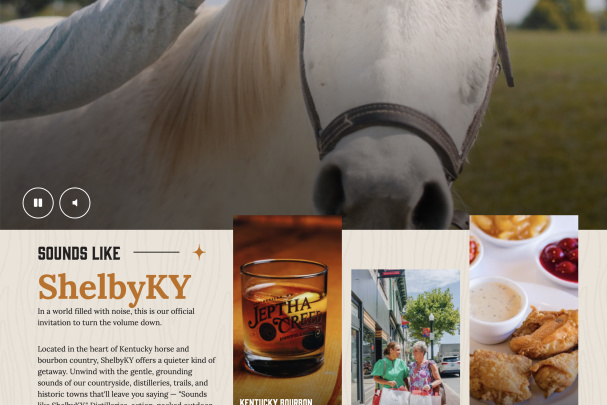 Website Homepage Screenshot