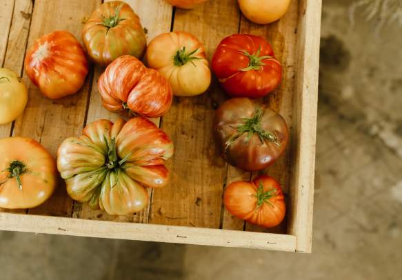 Roseburg Farmers' Market