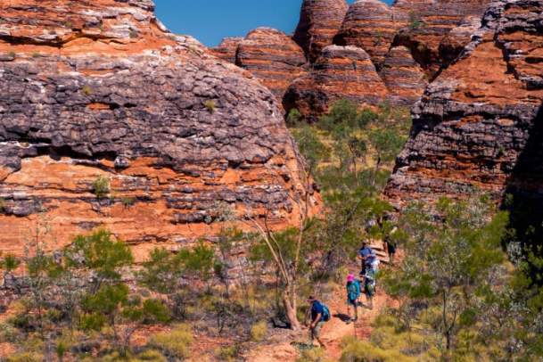Discover more in the Bungles