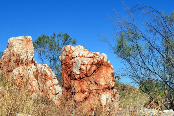 5 reasons to say Howdy to Halls Creek!