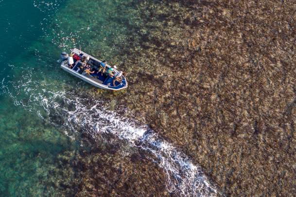 Aerial view of a Kimberley expedition cruise excursion to Montgomery Reef, showing the reef and crystal clear waters