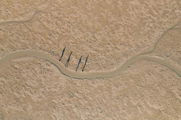 Aerial shot of a tour group walking along the tidal flats, their shadows silhouetted against the sand