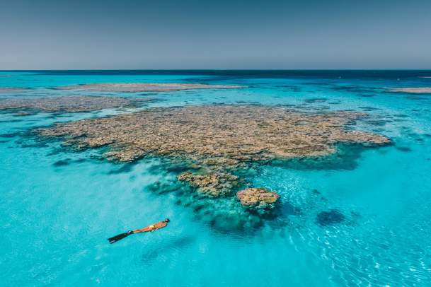 A snorkeller in crystal clear waters alongside a reef at Rowley Shoals