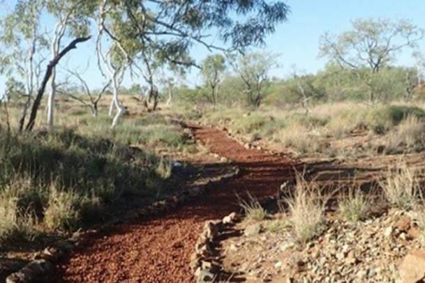 city-of-karratha-ngurin-bush-tucker-trail