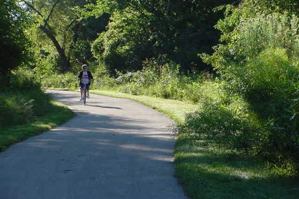 Person Biking Down Tree Lined Trail