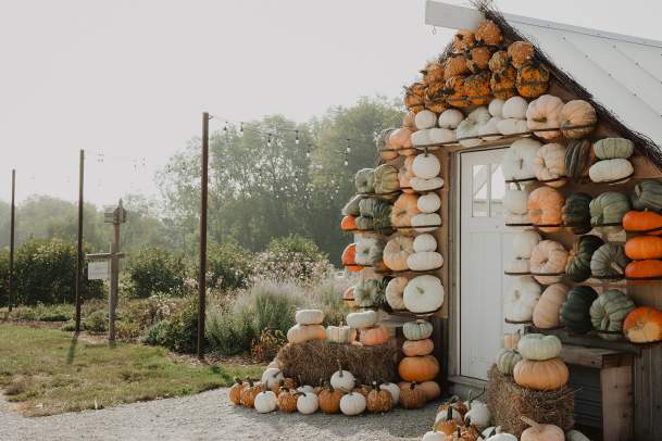Best Pumpkin Patches and Apple Orchards in Greater Des Moines