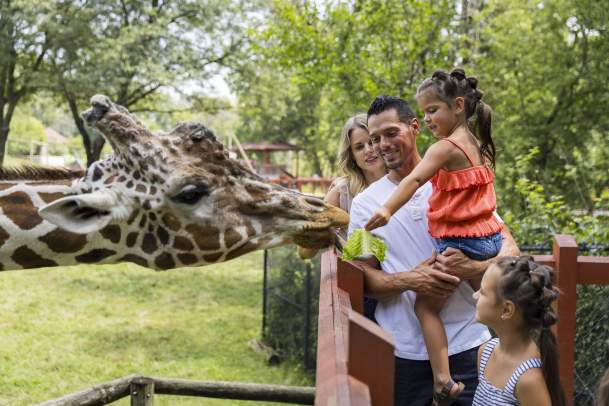 Blank Park Zoo
