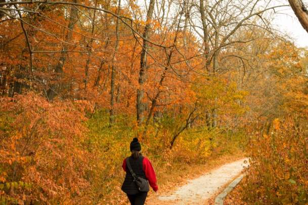 5 Ways to Experience Fall Colors in Greater Des Moines