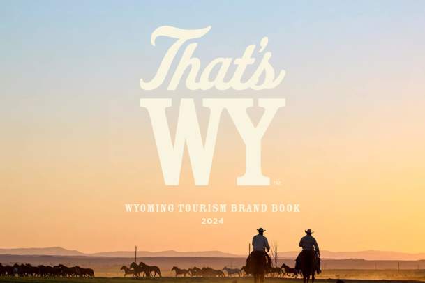 that's why branding guidelines graphic