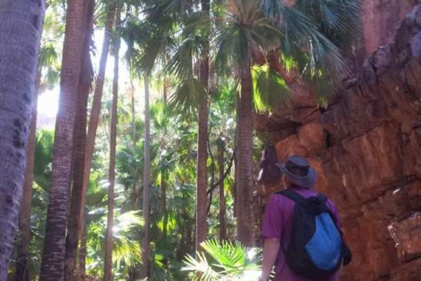 Kimberley Safari Tours