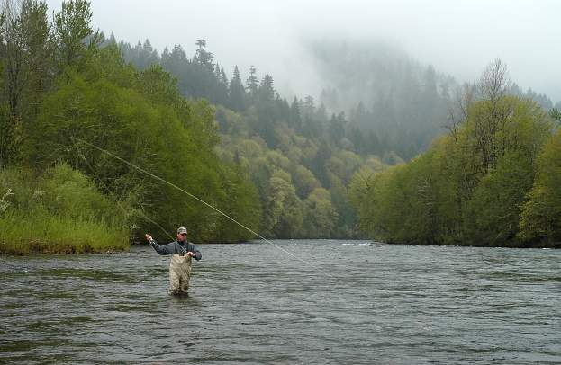 Road Trip: McKenzie River