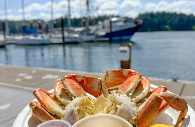 Guide to Dungeness Crab on the Oregon Coast