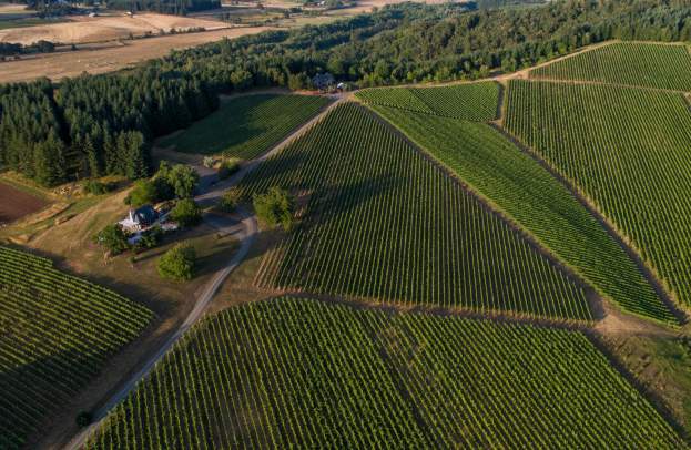 Road Trip: Willamette Valley