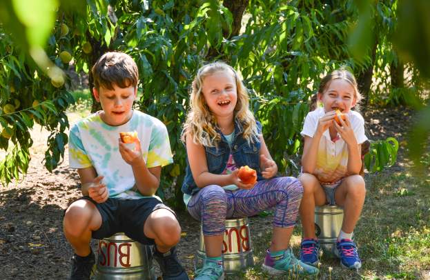 Family Friendly Farms Tour