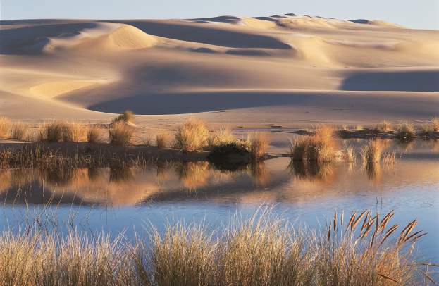 Four Ways to Explore Oregon's Sand Dunes