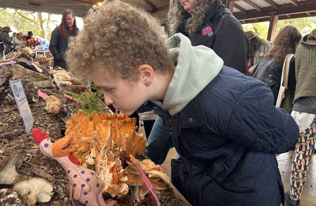 Exploring Mushrooms in Eugene