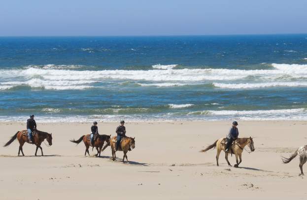 A story from the saddle: Horseback riding along the Oregon Coast