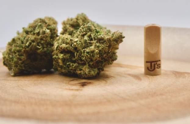 Cannabis Tourism in Oregon