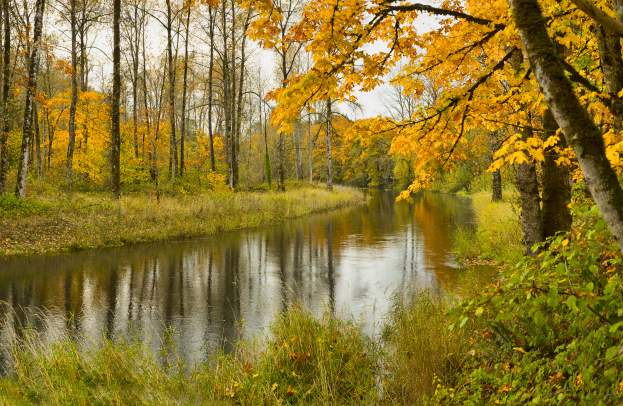 Best Bets For Colorful Fall Hikes