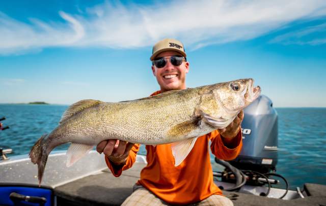 Devils Lake Walleye