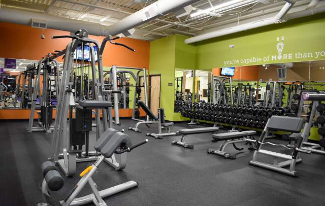 Health & Wellness