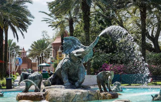 Audubon Zoo