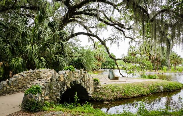 Top Picnic Spots in New Orleans