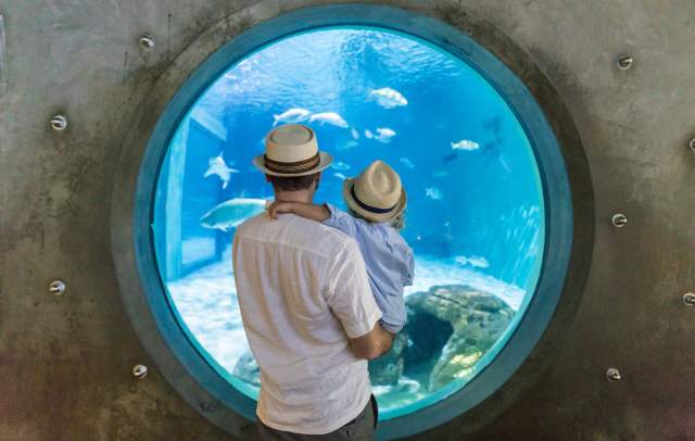 Audubon Aquarium of the Americas