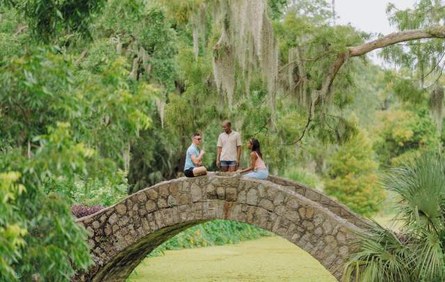 Friends Gather In City Park