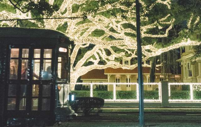 Christmas Lights on St. Charles Avenue