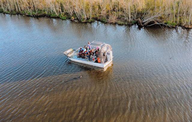 Louisiana Airboat Swamp Tour