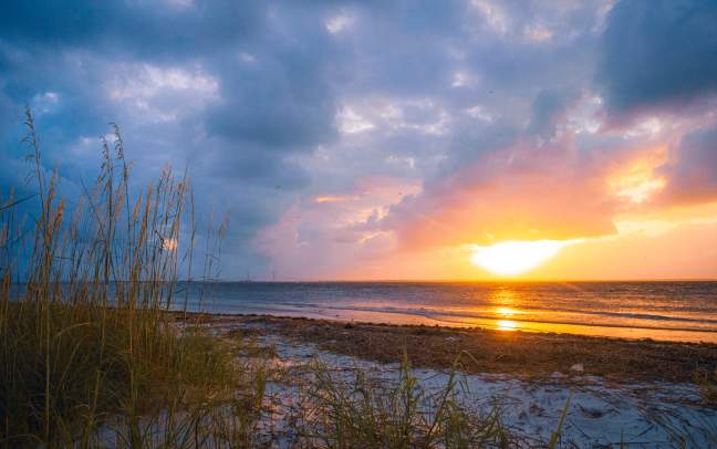 Best Beaches in the Golden Isles: A Local's Guide
