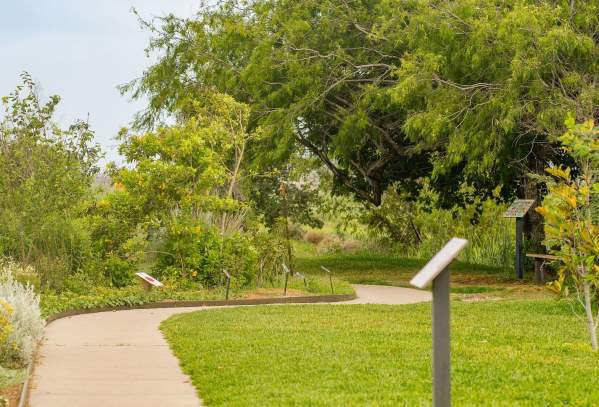 A paved walking path at Leonabelle Turnbull Birding Center surrounded by lush green trees and grass.