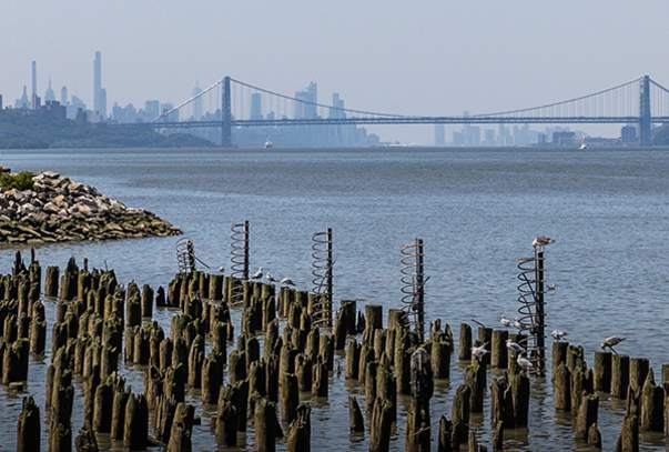 7 Reasons to Meet Here